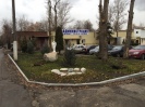 на месте бывших незаконных построек разбиты свежие клумбы и высажены деревья